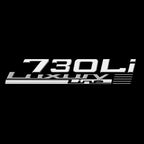 BMW M3 LOGO PROJECTOR LIGHTS Nr.24 (الكمية 1 = 1 مجموعة / 2 أضواء باب)