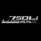 BMW M3 LOGO PROJECTOR LIGHTS Nr.24 (الكمية 1 = 1 مجموعة / 2 أضواء باب)