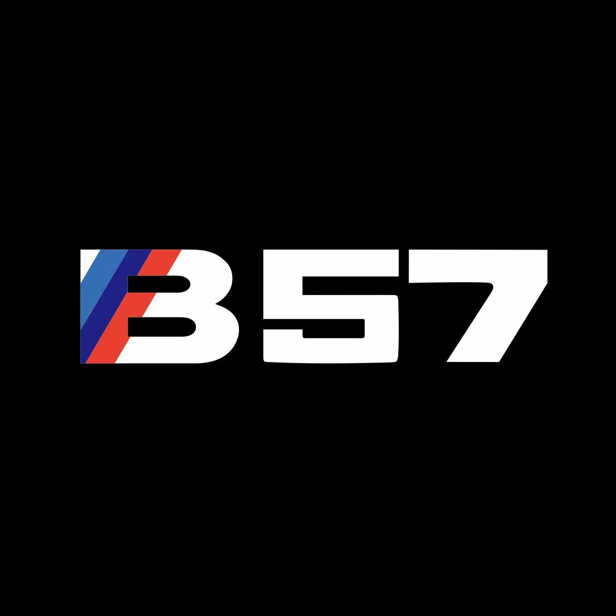 BMW M3 LOGO PROJECTOR LIGHTS Nr.24 (الكمية 1 = 1 مجموعة / 2 أضواء باب)