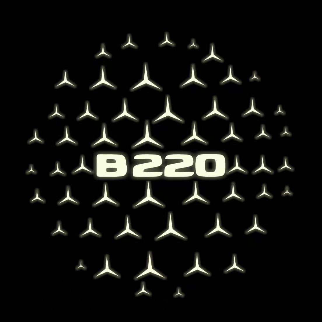 MERCEDES BENZ  B220  LOGO PROJECTOT LIGHTS  (quantity 1 = 1 sets/2 door lights)Nr.03f06