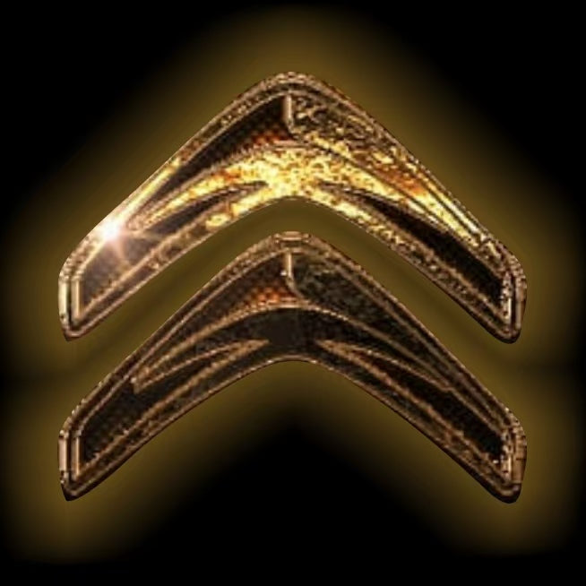 CITROËN Original   LOGO PROJECTOT LIGHTS (quantity 1 = 1 sets/2 door lights) Nr.6024q0t0139