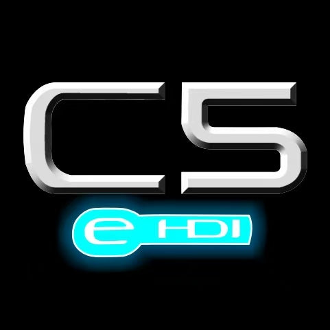 CITROËN C5 E HDI   LOGO PROJECTOT LIGHTS (quantity 1 = 1 sets/2 door lights) Nr.6024q0t0128