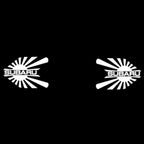 BRZ LOGO PROJECROTR أضواء Nr.03 (الكمية 1 = 1 مجموعات / 2 أضواء الباب)