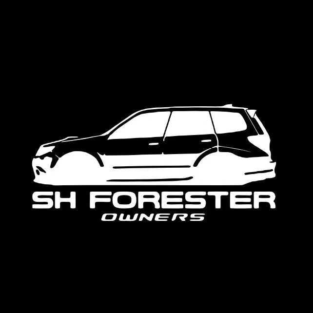 BRZ LOGO PROJECROTR أضواء Nr.03 (الكمية 1 = 1 مجموعات / 2 أضواء الباب)