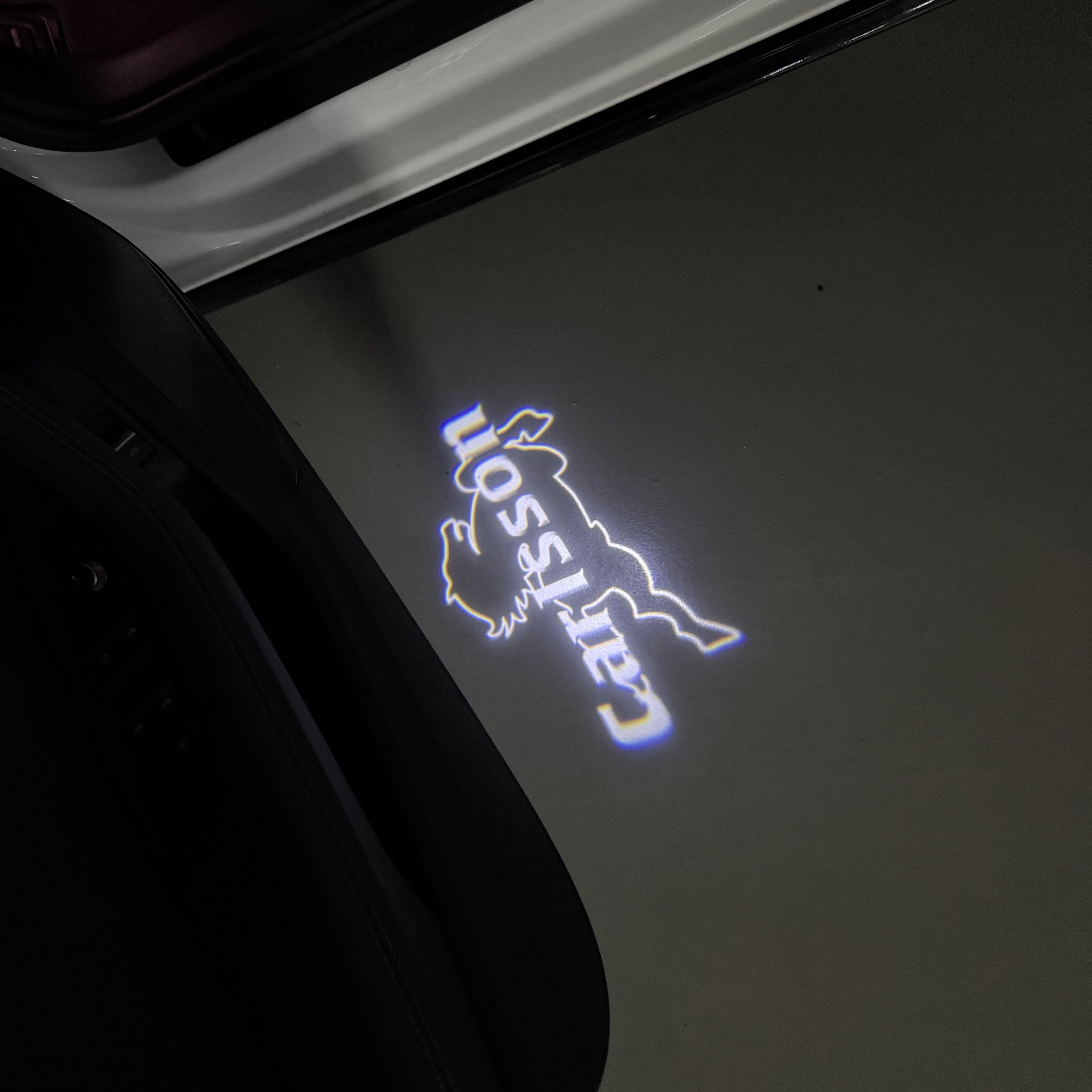 MERCEDES BENZ Carlsson LOGO PROJECTOT LIGHTS(quantity 1 = 1 sets/2 door lights) Nr.03f 015