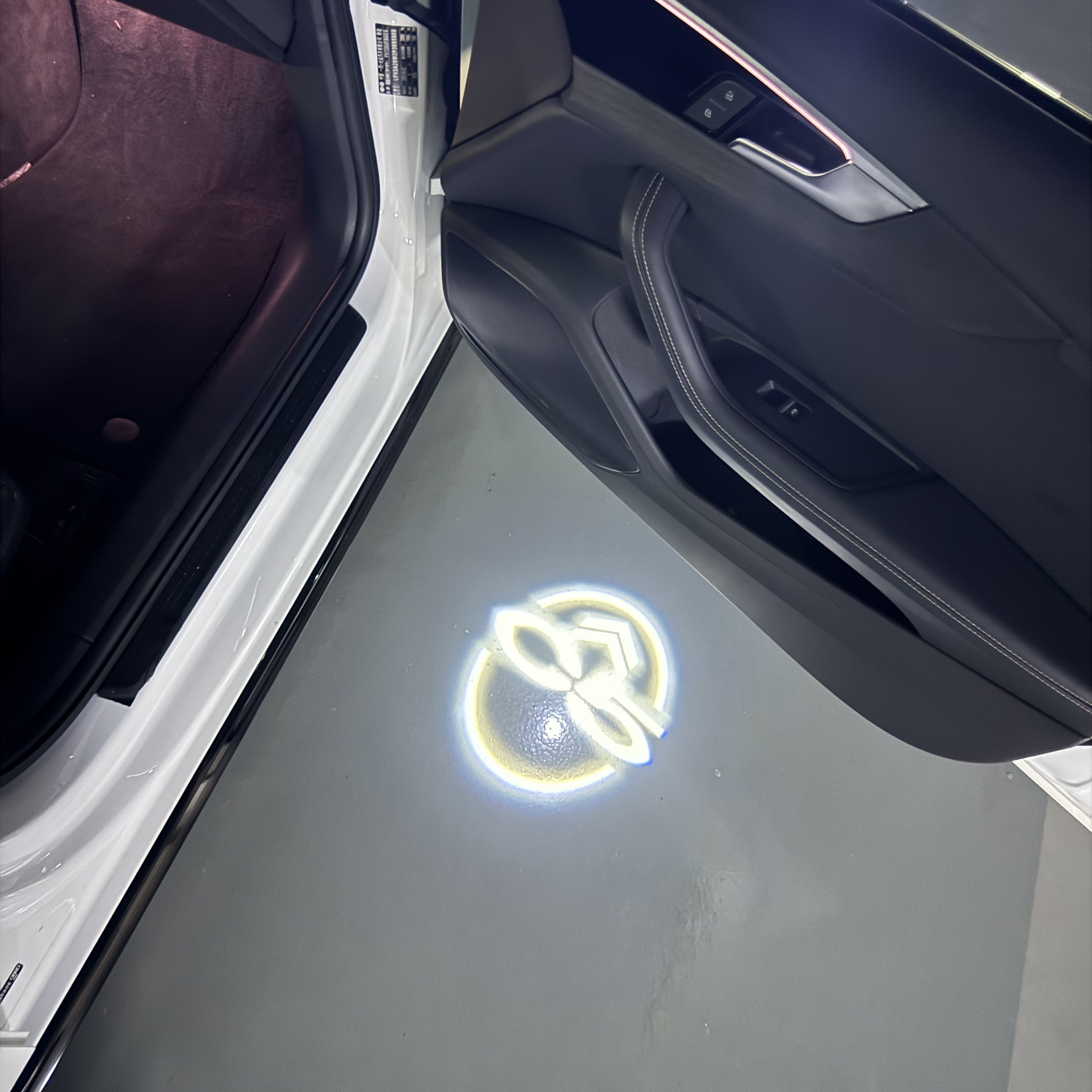 CITROËN C5   LOGO PROJECTOT LIGHTS (quantity 1 = 1 sets/2 door lights) Nr.6024q0t0155