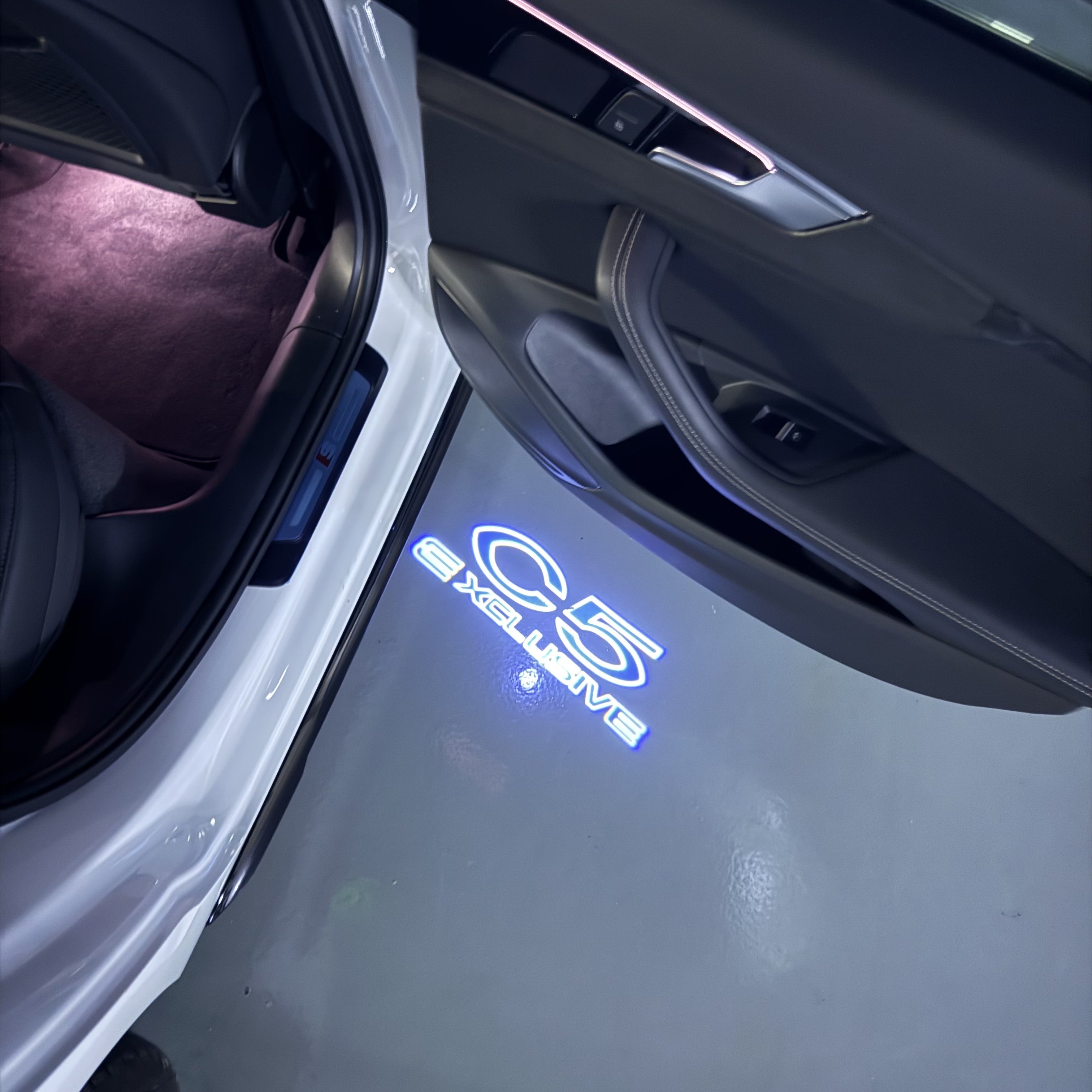 CITROËN C5  EXCLUSIVE  LOGO PROJECTOT LIGHTS (quantity 1 = 1 sets/2 door lights) Nr.6024q0t0133