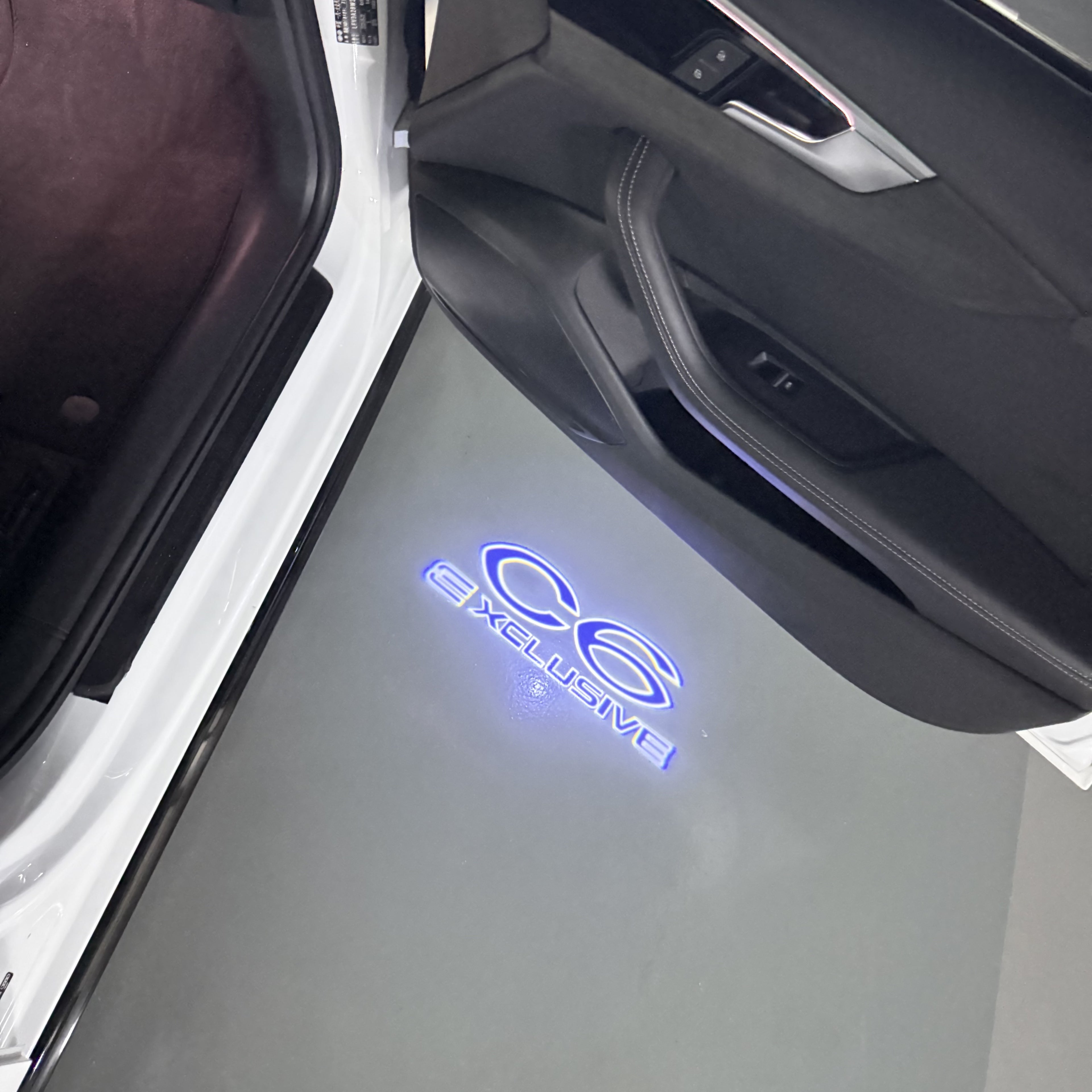 CITROËN C6 EXCLUSIVE  LOGO PROJECTOT LIGHTS (quantity 1 = 1 sets/2 door lights) Nr.6024q0t0112