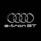 AUDI LOGO PROJECTOT LIGHTS Nr.19 (الكمية 1 = 2 Logo Films /2 أضواء الباب)