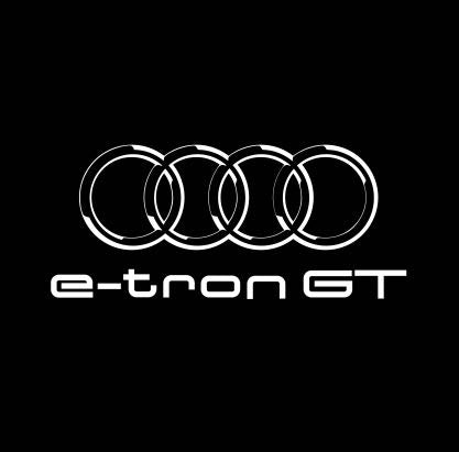 AUDI LOGO PROJECTOT LIGHTS Nr.19 (الكمية 1 = 2 Logo Films /2 أضواء الباب)