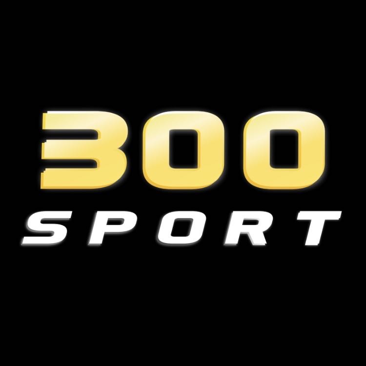 عدد الفوانيس في البند رقم jaguar الشعار