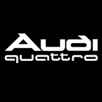 AUDI LOGO PROJECTOT LIGHTS Nr.19 (الكمية 1 = 2 Logo Films /2 أضواء الباب)