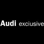 أضواء جهاز عرض شعار AUDI رقم 73 (الكمية 1 = 2 فيلم شعار / 2 مصباح باب)