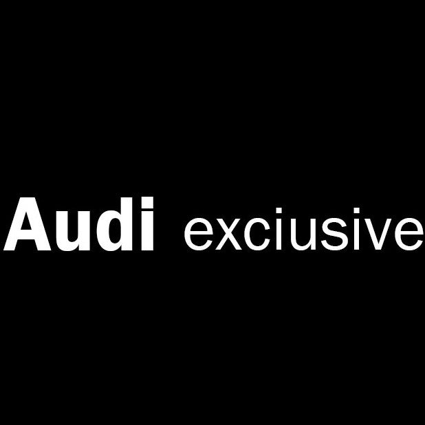 أضواء جهاز عرض شعار AUDI رقم 73 (الكمية 1 = 2 فيلم شعار / 2 مصباح باب)