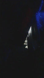 فولكس فاجن شعار 116