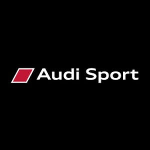 AUDI LOGO PROJECTOT LIGHTS Nr.69 (الكمية 1 = 2 Logo Films /2 أضواء الباب)