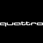 AUDI LOGO PROJECTOT LIGHTS Nr.98 (الكمية 1 = 2 شعار الأفلام / 2 أضواء الباب)