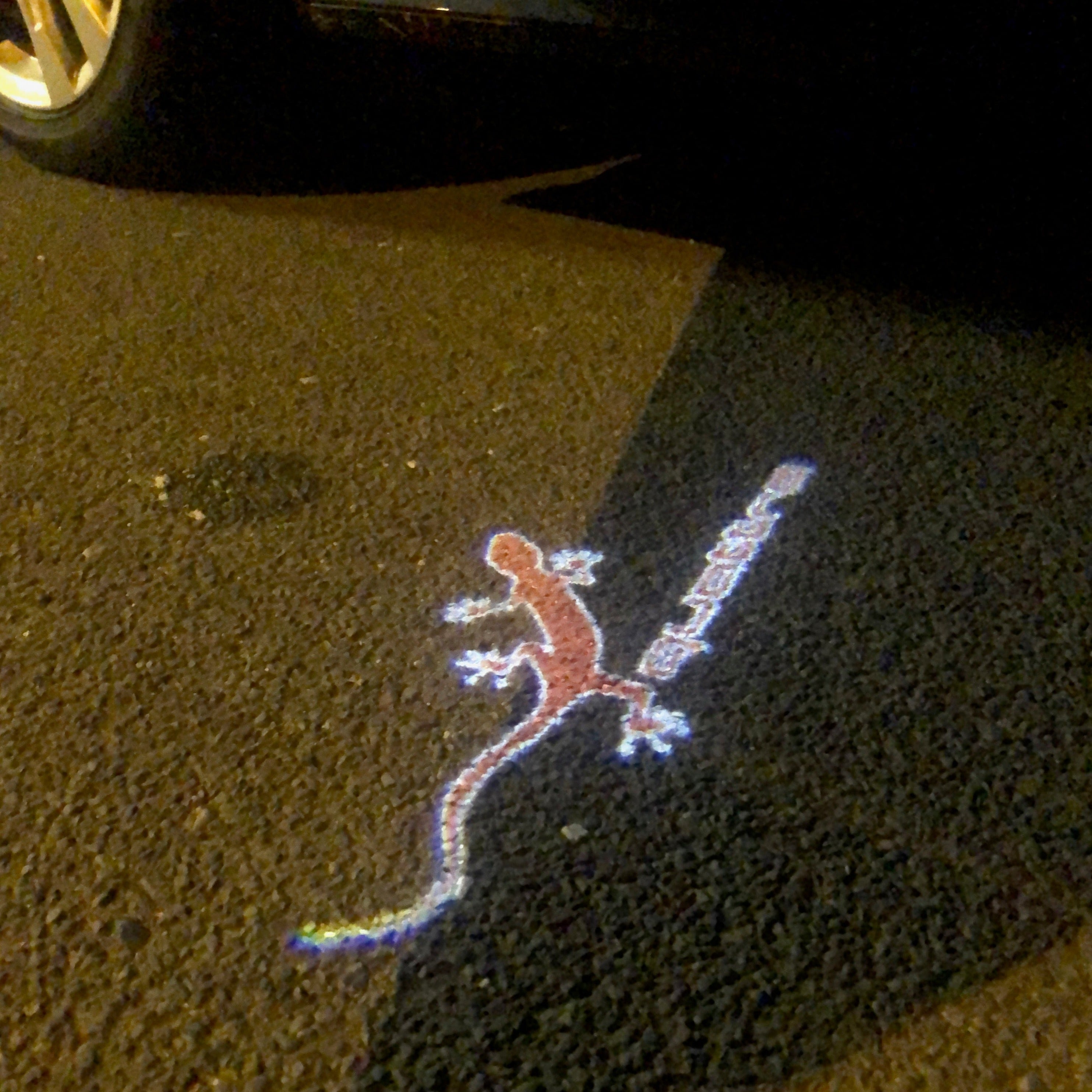 AUDI كواترو GECKO LOGO PROJECTOT أضواء Nr.61 (الكمية 1 = 2 شعار الأفلام / 2 أضواء الباب)