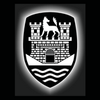 فولكس فاجن علامة مصباح الباب رقم 162 ؛ ؟